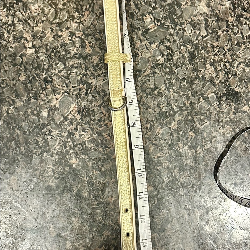 Martha Stewart Gold Textured Belt